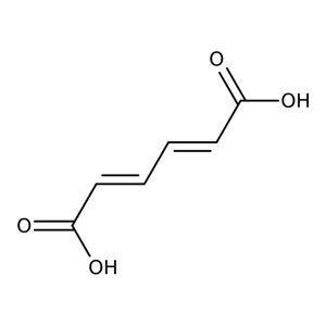 AC297760025 | Cis,cis-muconic Acid 2.5g