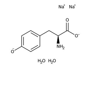 AAJ6177022 | L-tyrosine Disod Slt D 99 100g