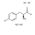 AAJ6177022 | L-tyrosine Disod Slt D 99 100g