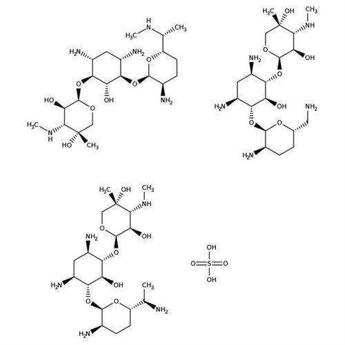 ICN19005705 | Gentamicin Sulfate 5g