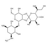 AAJ6068103 | Hygromycin B 1g