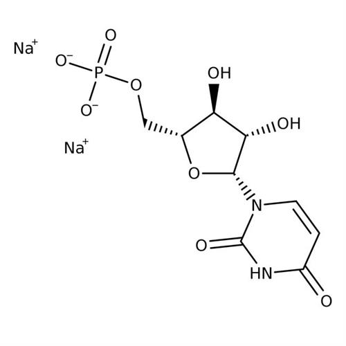 AAA1860106 | Uridine-5 -monophosphat Dis 5g