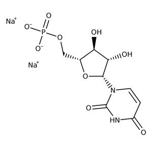 AAA1860106 | Uridine-5 -monophosphat Dis 5g