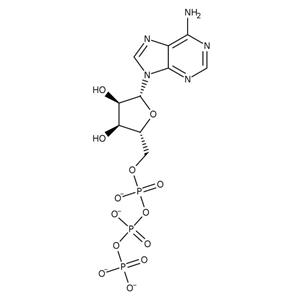 AAJ6033614 | Adenosine-5 -triphospha 98 25g