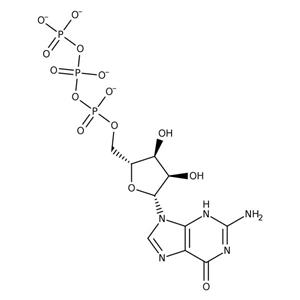 AAJ61414MD | Guanosine-5 -triphosphat 250mg
