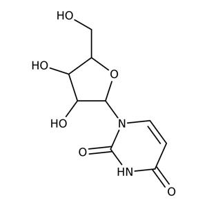 AC140770250 | Uridine, 99% 25gr