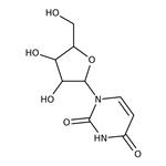 AC140770250 | Uridine, 99% 25gr