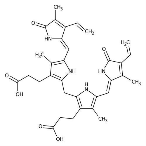 AAA1752203 | Bilirubin 97% 1g