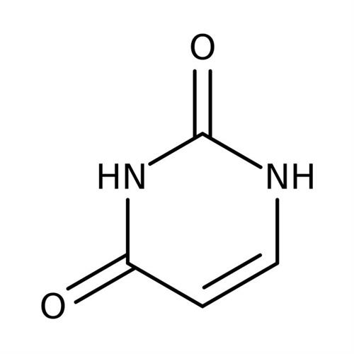 AC157300250 | Uracil 99]% 25gr