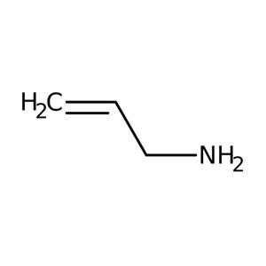 AA4309209 | Ply(allylamine Hydroclride 10g
