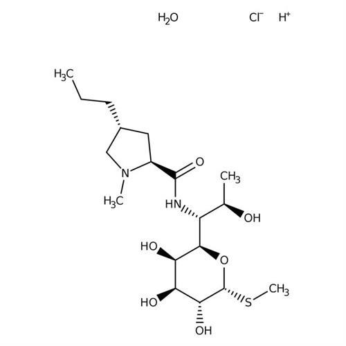 L016625G | Lincomycin Hydrochloride Monohydrate 98.0 T C18H37