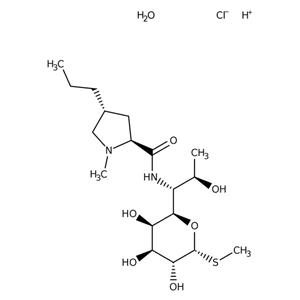 L016625G | Lincomycin Hydrochloride Monohydrate 98.0 T C18H37