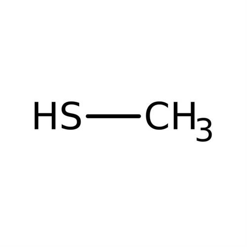 S2433 | Methanethiol 1.2ml Warning