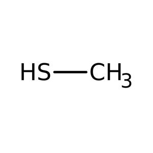 S2433 | Methanethiol 1.2ml Warning