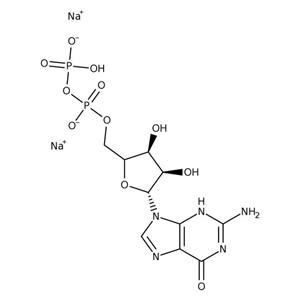 AAJ61646MC | Guanosine-5 -diphosphat 100mg