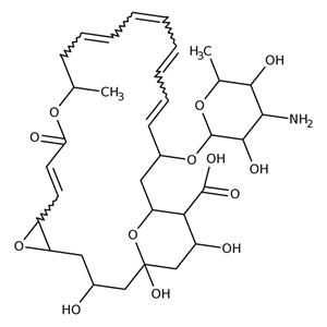 AAJ66468MF | Natamycin, 95% 50mg
