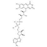 ICN15112790 | Flavin Adenine Dinucleotide Disodium Salt C27H33N9