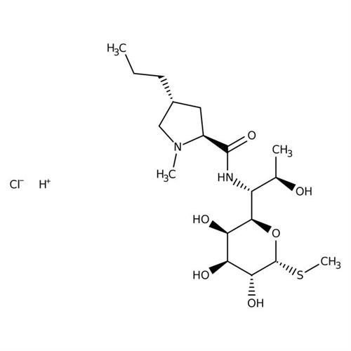 AAJ6125103 | Lincomycin Hydrochloride 1g