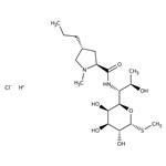 AAJ6125103 | Lincomycin Hydrochloride 1g