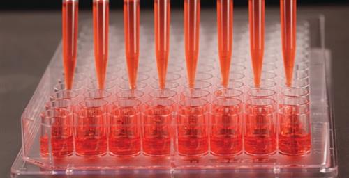 14387220 | 96 Edge Fb W/lid Clr Trtd Cs50