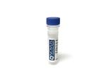 NB093658 | gamma glutamyl hydrolase Host Rabbit Applications
