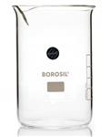1060D21 | Borosil Tall Form Beaker with Spout 250mL 40 CS