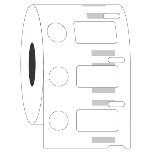 EF1F-076PI | Cryo-DTermo™ – DYMO-Compatible Cryogenic Labels
