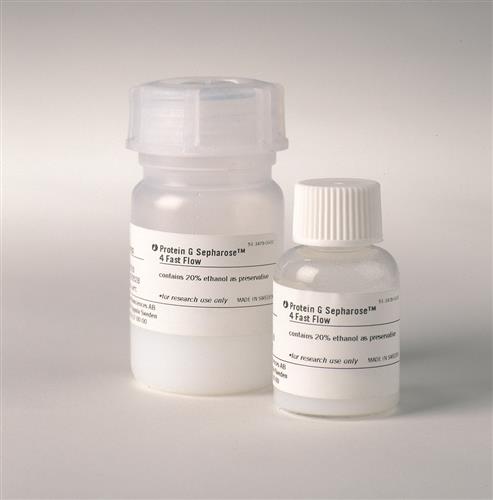 17061802 | PROTEIN G SEPHAROSE 4 FF, 25 ML
