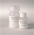 17061802 | PROTEIN G SEPHAROSE 4 FF, 25 ML