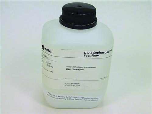 17070901 | DEAE SEPHAROSE FAST FLOW  500 ML