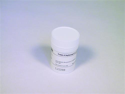 17078001 | PROTEIN A-SEPHAROSE CL-4B 1.5G