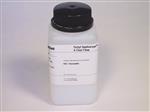 17094602 | OCTYL SEPHAROSE 4 FAST FLOW 200 ML