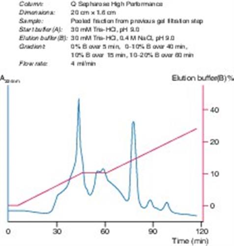 17101401 | Q SEPHAROSE HIGH PERF. 75 ML