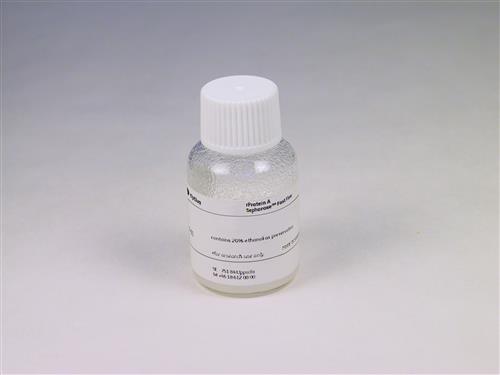 17127903 | R-PROTEIN A SEPHAROSE FF, 200 ML