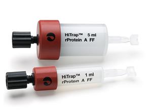 17507901 | HITRAP RPROTEIN A FF, 5X1ML