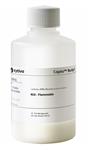 17545901 | Capto Butyl 25 ml
