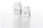 SH30857.01 | Cell Boost 4,w/o L-Glutamine,100 g