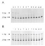 25150001 | HOT START MASTER MIX