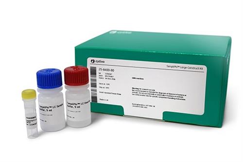 25640080 | TPHI LARGE CONSTRUCT KIT