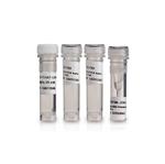 27079804 | RECOMBINANT TAQ DNA POLYMERASE (250 Units)