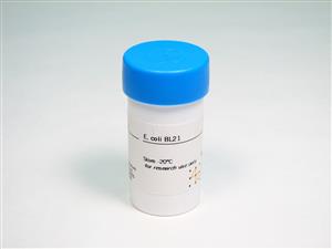 27154201 | E. COLI BL21