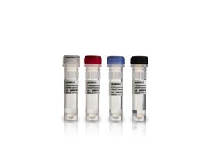 28406512 | DCTP, 100 MMOLAR SOLN, 100UMOL