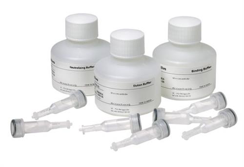 28903059 | Ab Buffer Kit contains carefully prepared buffer concentrates for binding, washing, and elution of IgG according to recommended protocols. The kit also includes neutralizing buffer. Includes: 1 × 50 ml Binding buffer 10× stock solution, 1 × 15 ml Elution buffer 10× stock solution, and 1 × 25 ml Neutralizing buffer.