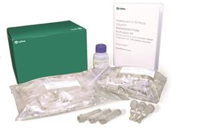 28903408 | ProbeQuantTM G-50 Micro Col,50