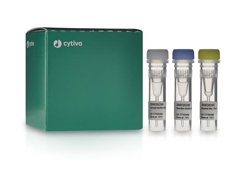 28903529 | TempliPhi Seq Resolver Kit,20 rxns