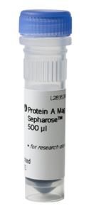 28944006 | Protein A Mag Sepharose 1x500ul