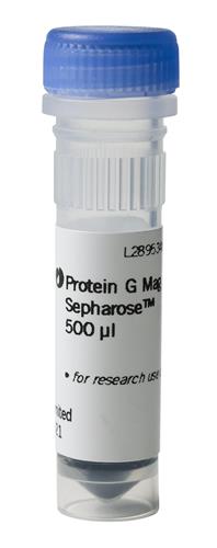 28944008 | Protein G Mag Sepharose 1 x 500ul