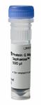 28944008 | Protein G Mag Sepharose 1 x 500ul