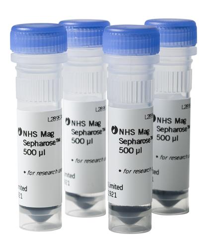 28951380 | NHS Mag Sepharose 4x500ul