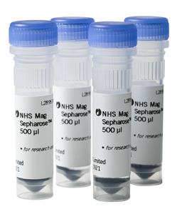 28951380 | NHS Mag Sepharose 4x500ul